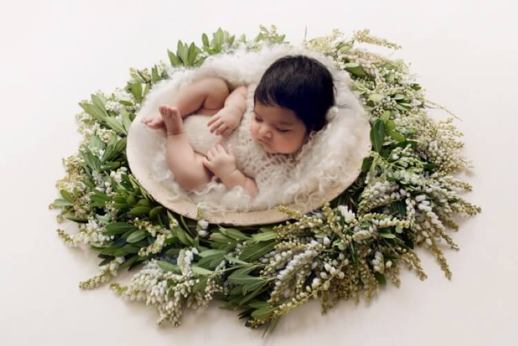 newborn photography gallery 1