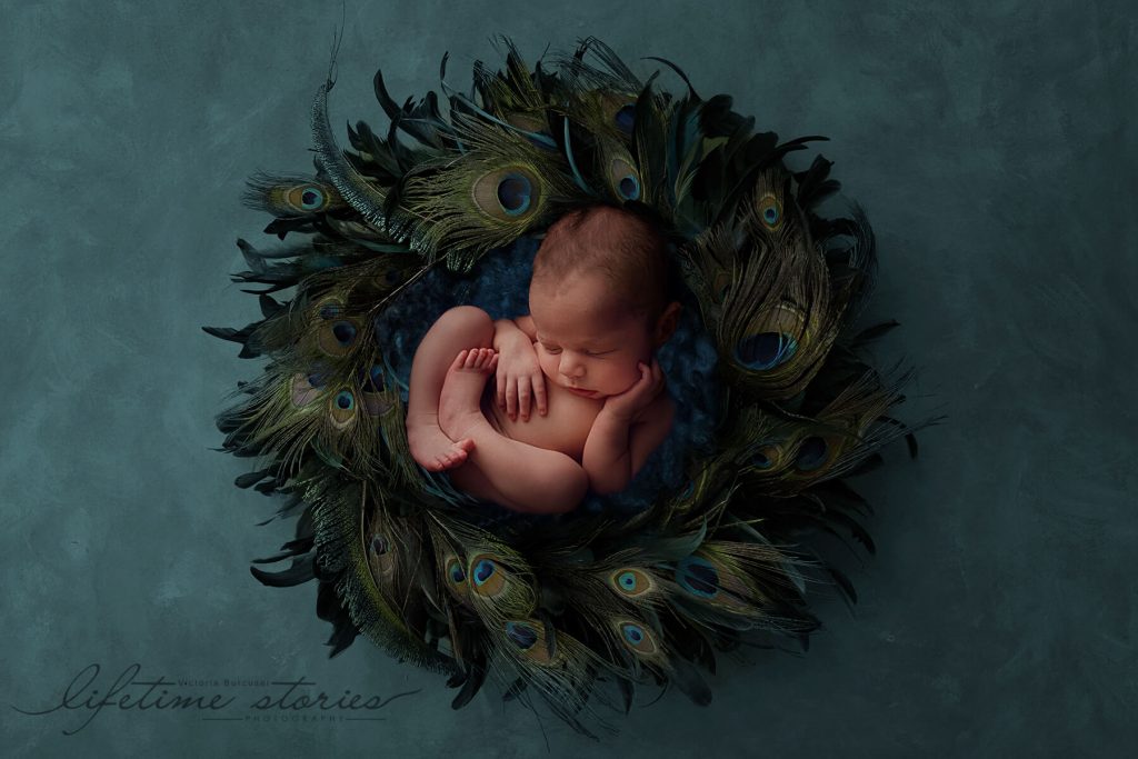 newborn photography digital composition